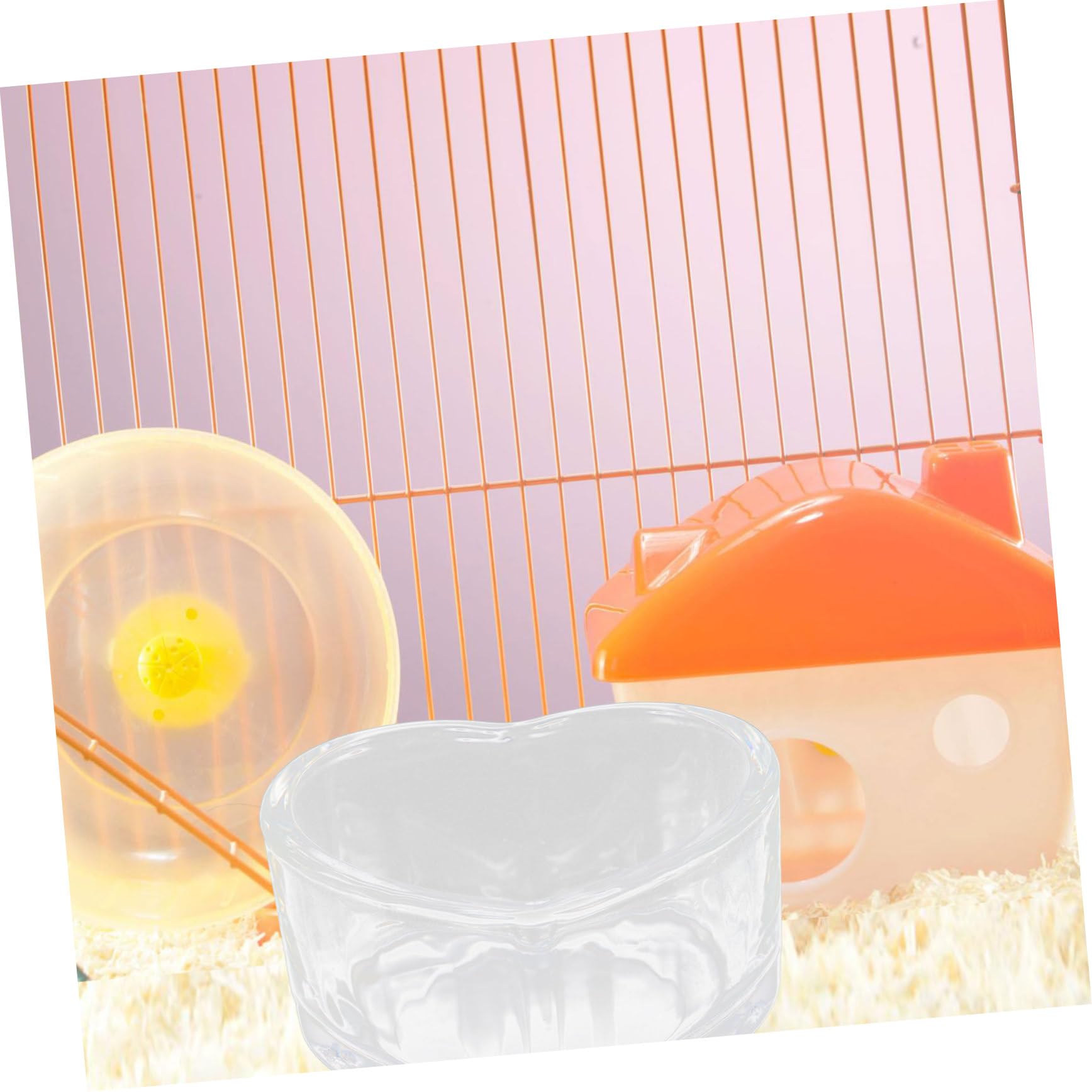 SUPVOX 8 Pz Ciotola Per Cibo Per Criceti Cavia Accessori Per Terrari Ciotola Per Topi Ciotola Per Cibo Per Porcellini D'india Ciotola Di Cibo Faraona Cibo Per Topi Transparent Bicchiere