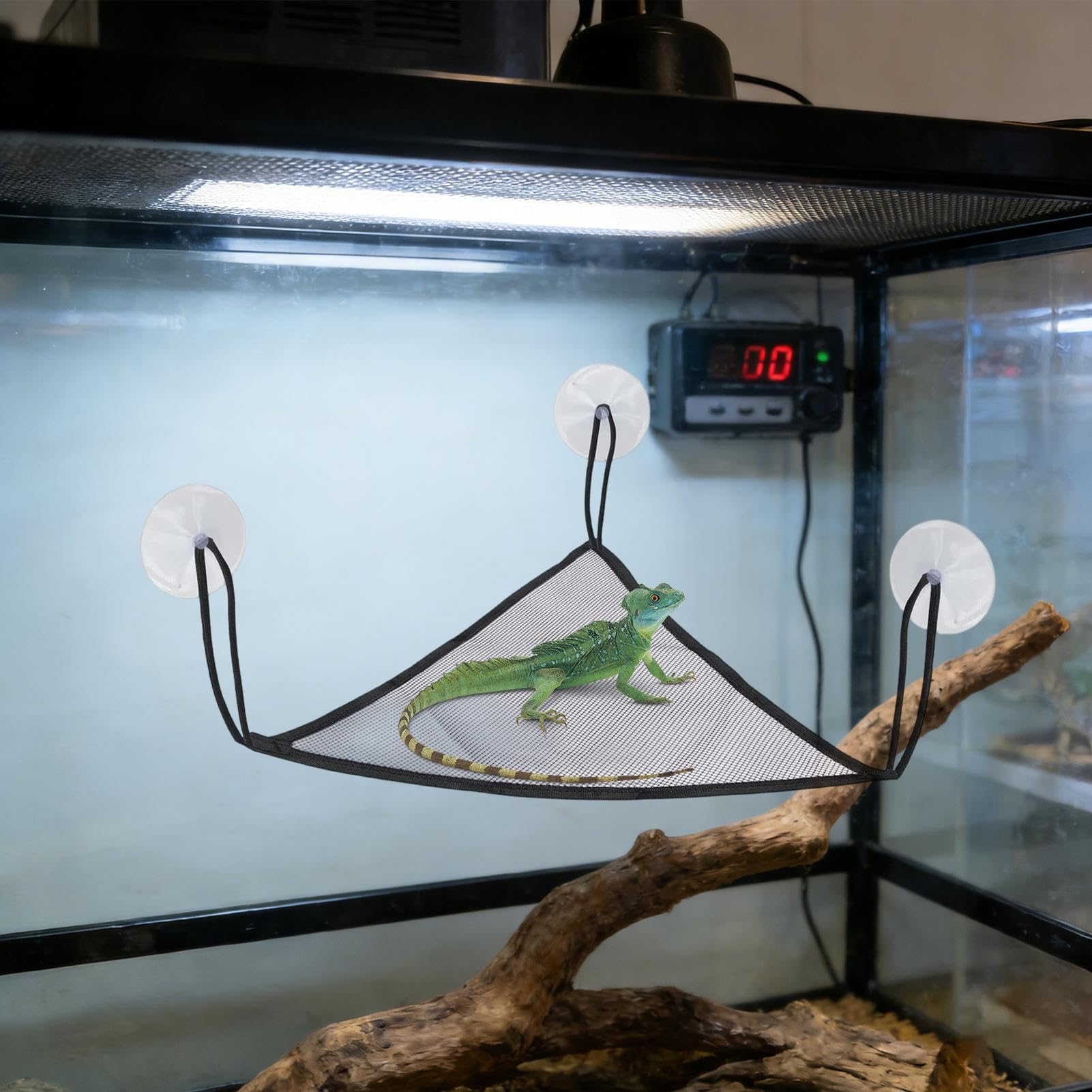 bartagame hängematte Generisch Bartagame-Hängematte, verstellbares Reptilienbett aus Seil, 2-teiliges Tankzubehör für Eidechsen, Ruheplattform mit einfacher Installation, Reptilienlebensraum für Innen- und Außengehege Pet Supplies RaMokey Fahrradhelm für Erwachsene FLX Gloves Lens Type:Polycarbonate With Premium Non Glare & Transitions Gray