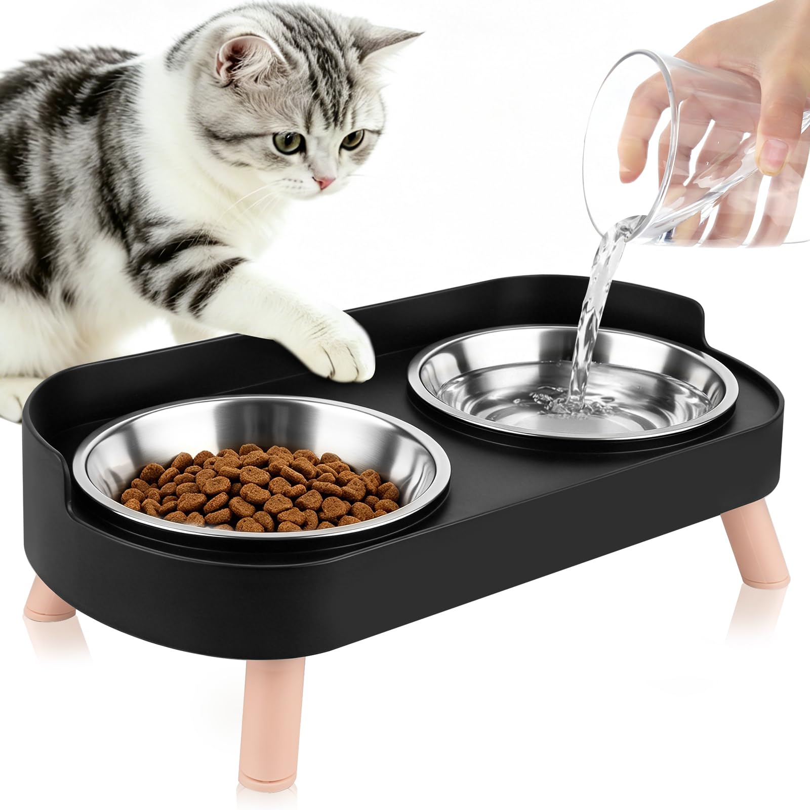 MOXYOY Raised Cat Bowls for Indoor Cats,Cat Bowls for Cats and Puppies,Splash Proof with 2 stainless steel cat bowl,Whisker Fatigue Relief and Dishwasher Safe,Feeding & Watering Supplies for Cats