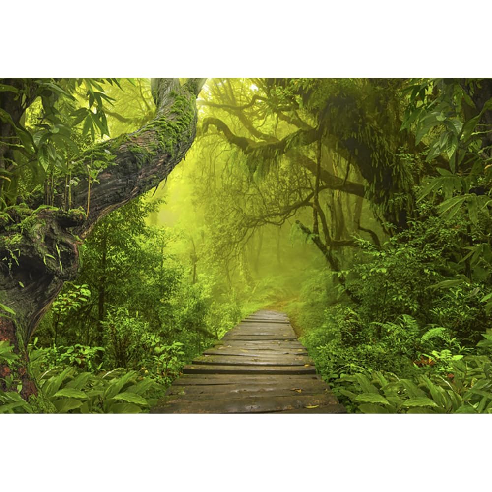 YongFoto 3x2m Vinilo Fondo de fotografía Ver Bosque Verde Selvas Grandes árboles Viejos Camino de Madera Estrecho Telón de Fondo de Fotografía Estudio de Foto Studio Props