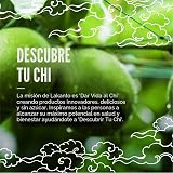 Lakanto Jarabe de chocolate sin azúcar, endulzado con edulcorante de fruta de monje, cero carbohidratos netos, apto para dieta cetogénica, vegano, cobertura perfecta para helado, aperitivos, leche de