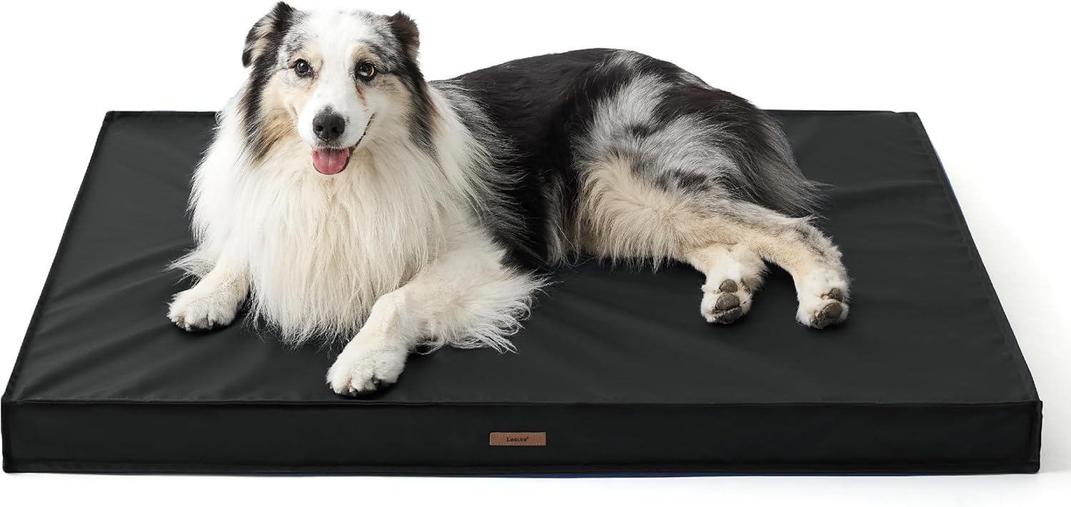 Lesure Outdoor Waterproof Dog Beds for Large Dogs - Dog Bed Washable with Oxford Fabric Surface, Large Orthopedic Foam Pet Bed with Removable and Durable Cover, Machine Washable 36.0"L x 27.0"W x 3.0"Th Black