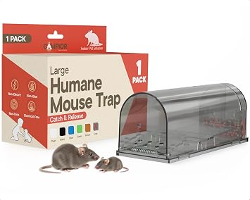 Campior Humane Mouse Trap Pack of 1, Live Mouse Traps Catch and Release for Indoors & Outdoors, Pet & Child Safe, 7.87" Reusable Plastic Mouse Cage with Spring Door, Cleaning Brush Included, Gray