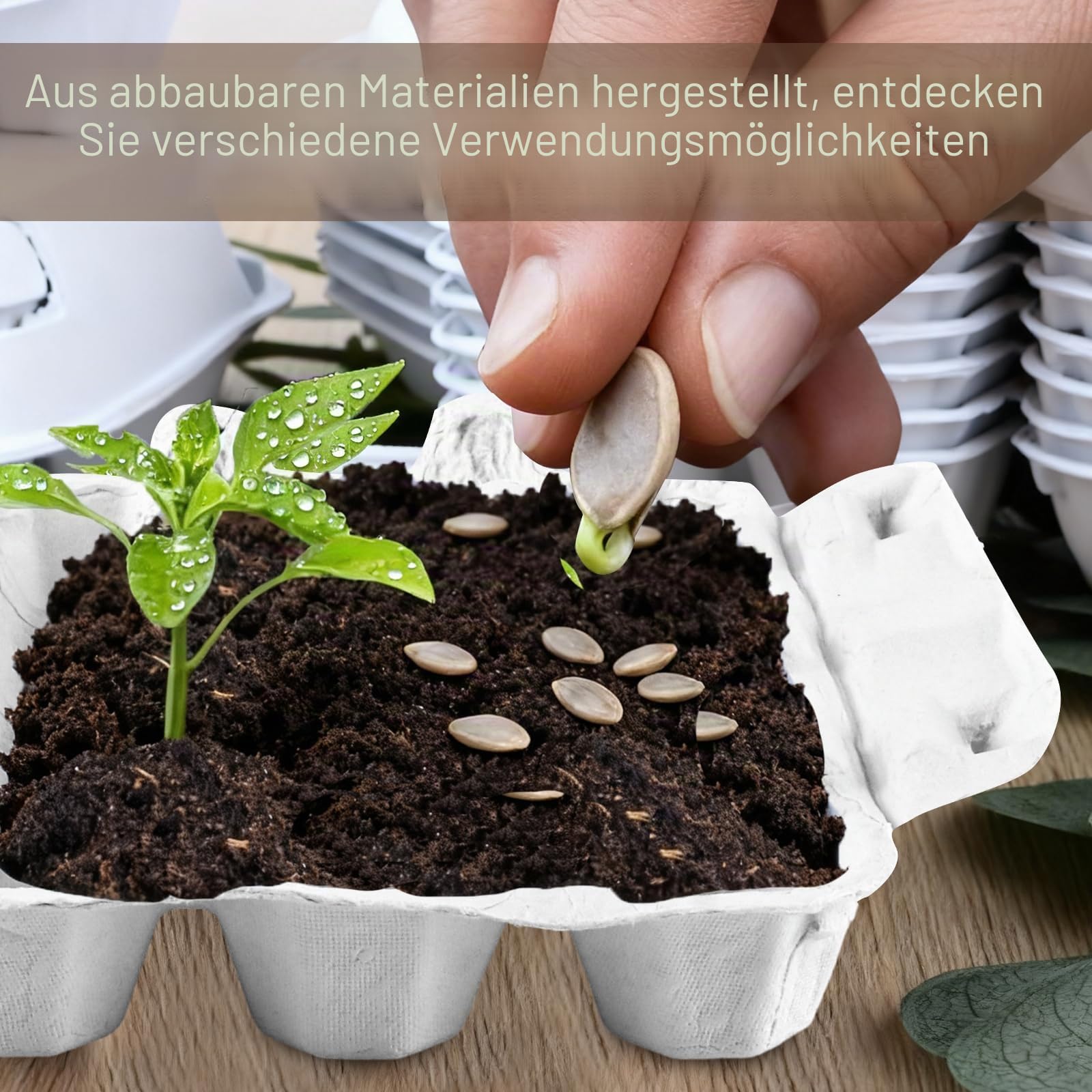 APACALI 60 Stück Wachteleierschachteln aus Pappe, Wachteln Eierschachteln 12 Gitter, Wachtelei Schachteln mit Deckel