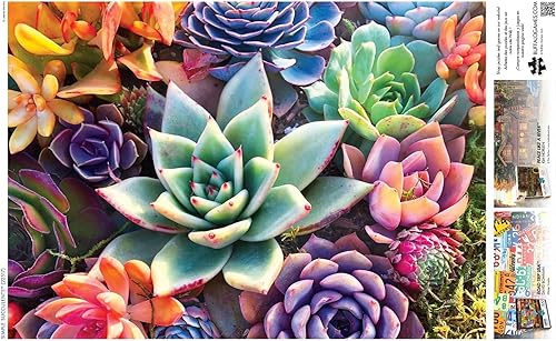 Miniatura 5 de Buffalo Games - James Mertke - Suculentas simples - Rompecabezas de 300 piezas para adultos - Rompecabezas desafiante perfecto para noches de juego