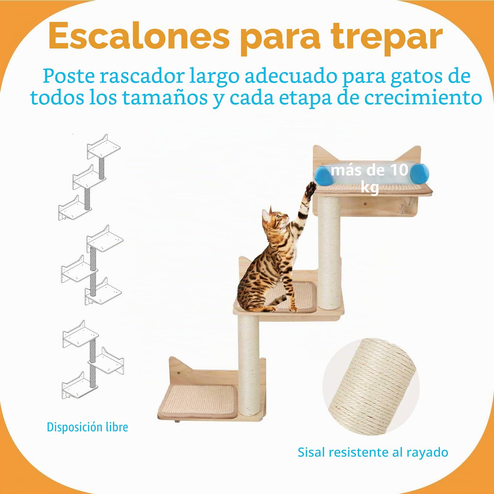Estanterías para Gatos Montadas en la Pared - Set de 9 Piezas con Casa, Torre, Rascadores de Sisal, Madera de Pino Ancha para Gatos Grandes, 7 Alfombrillas de sisal, Plataforma para Gatos