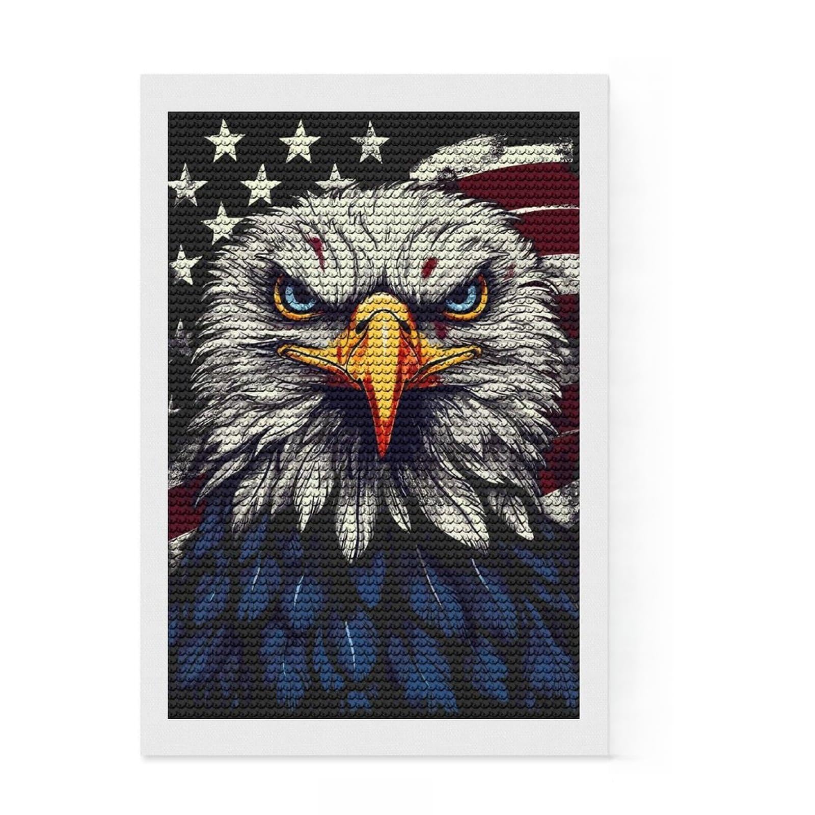 Junmoney USA Flag Bald Eagle Full Drill Diamond Painting Kit 8"x12", for Adults, Living Room Decor, Enjoyable At-Home Hobby, Gift Idea