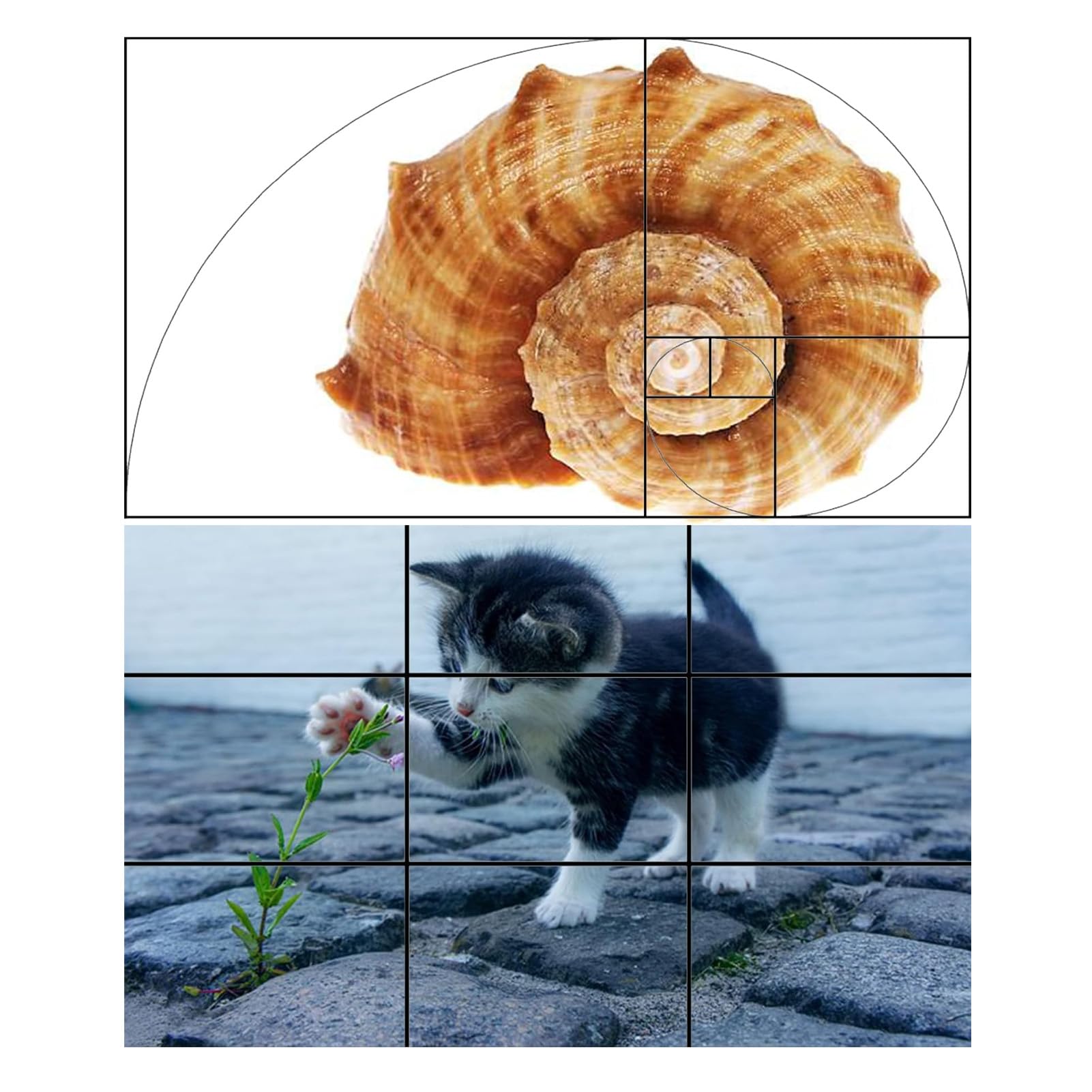 Visualizzatore di Composizione, Versatile Set di Quattro Pezzi Strumento di Composizione in Sezione Aurea per la Pittura Fotografica All'aperto
