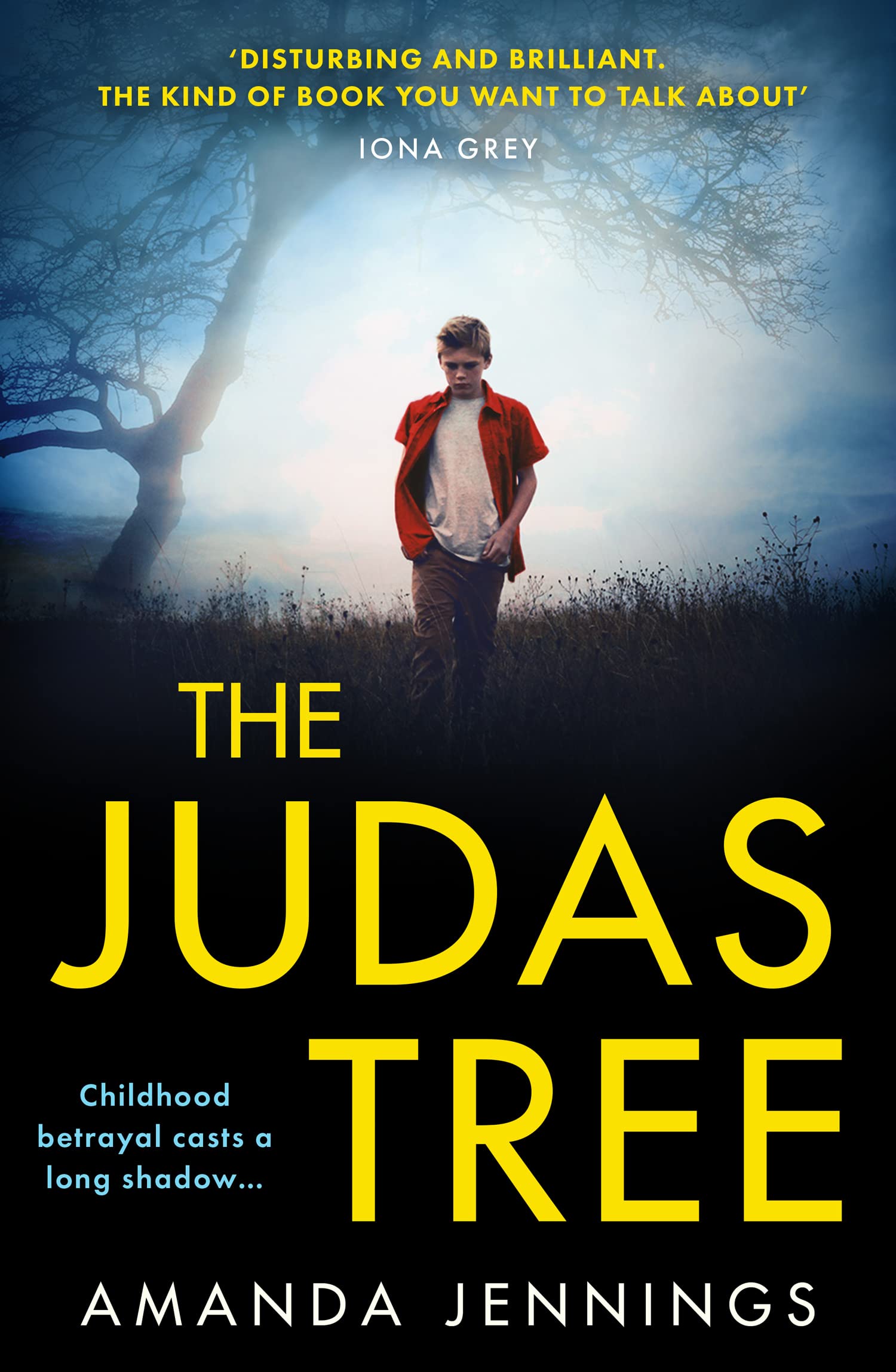 Amanda Jennings The Judas Tree Book New gripping new psychological thriller