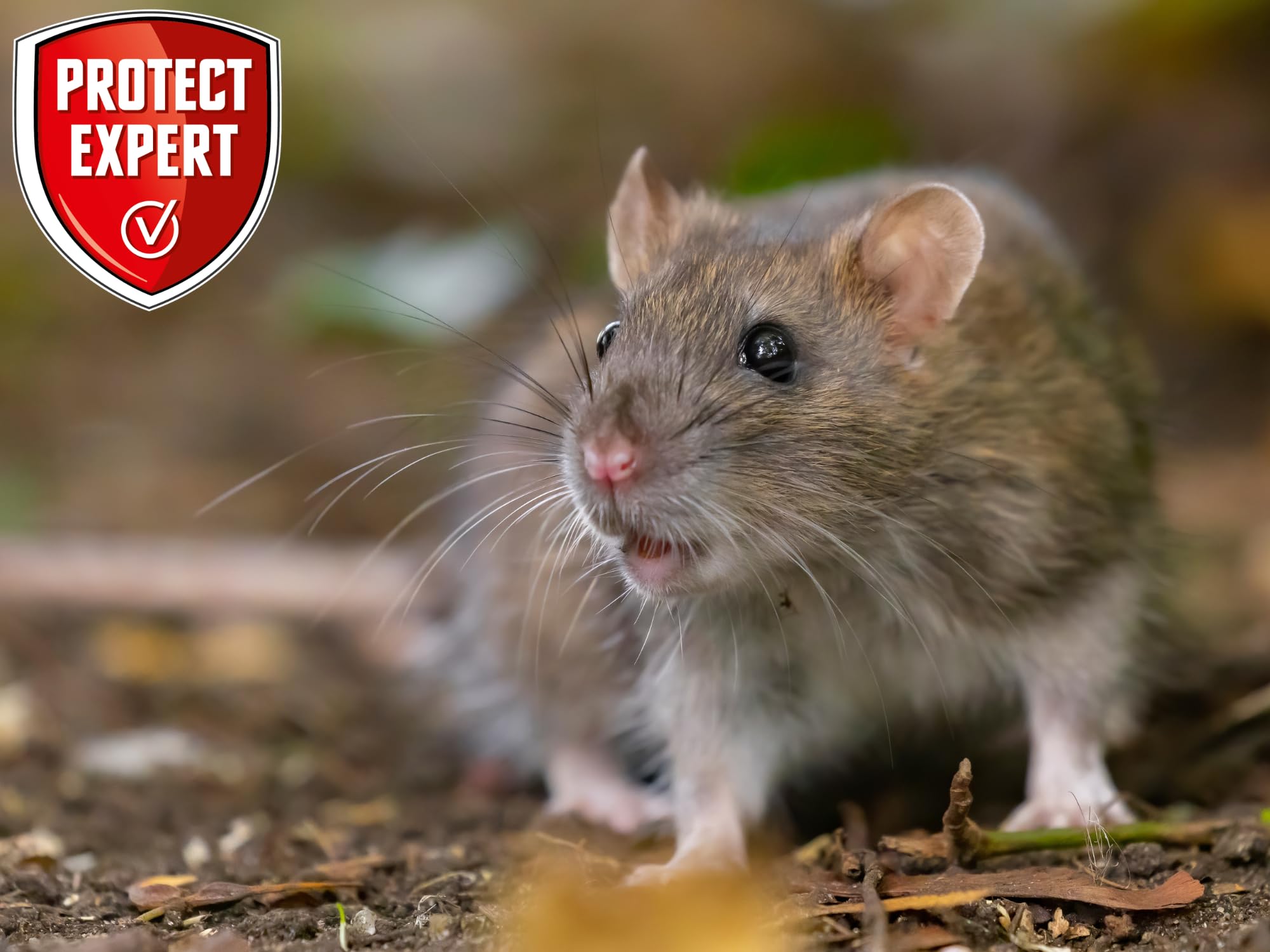 PROTECT EXPERT Trappola elettronica Ratto & Mouse - Veloce & Preciso | Eliminazione in pochi secondi - Fino a 35 roditori per batteria - Nessun contatto - RASOUTRAPN