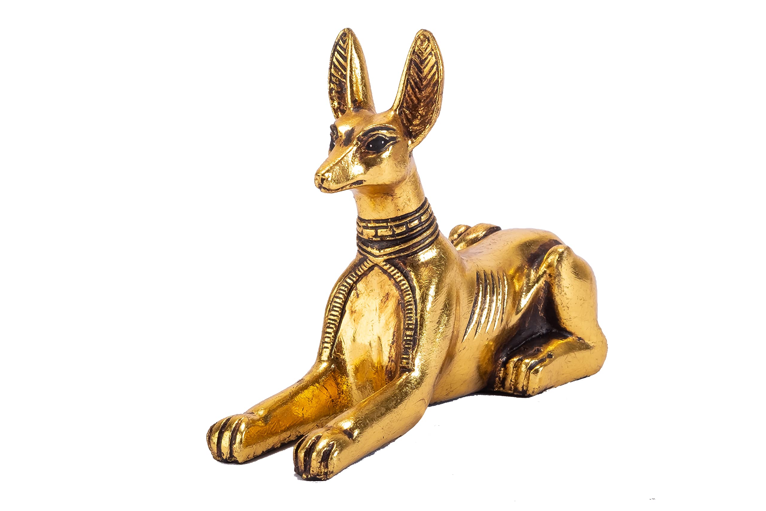 What Were Egyptian Dogs Called