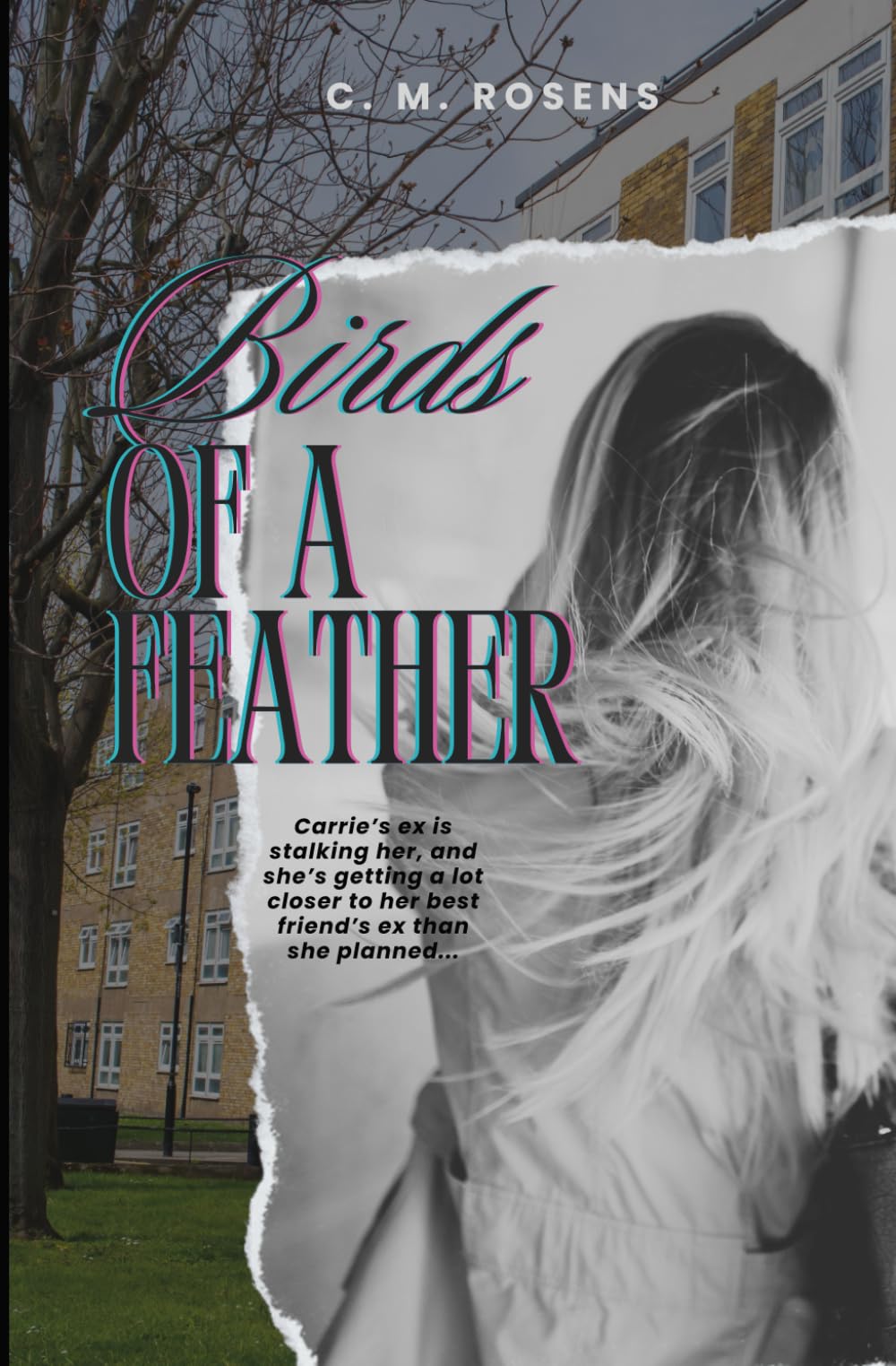 Birds of a Feather: with First Christmas, a Holiday short story