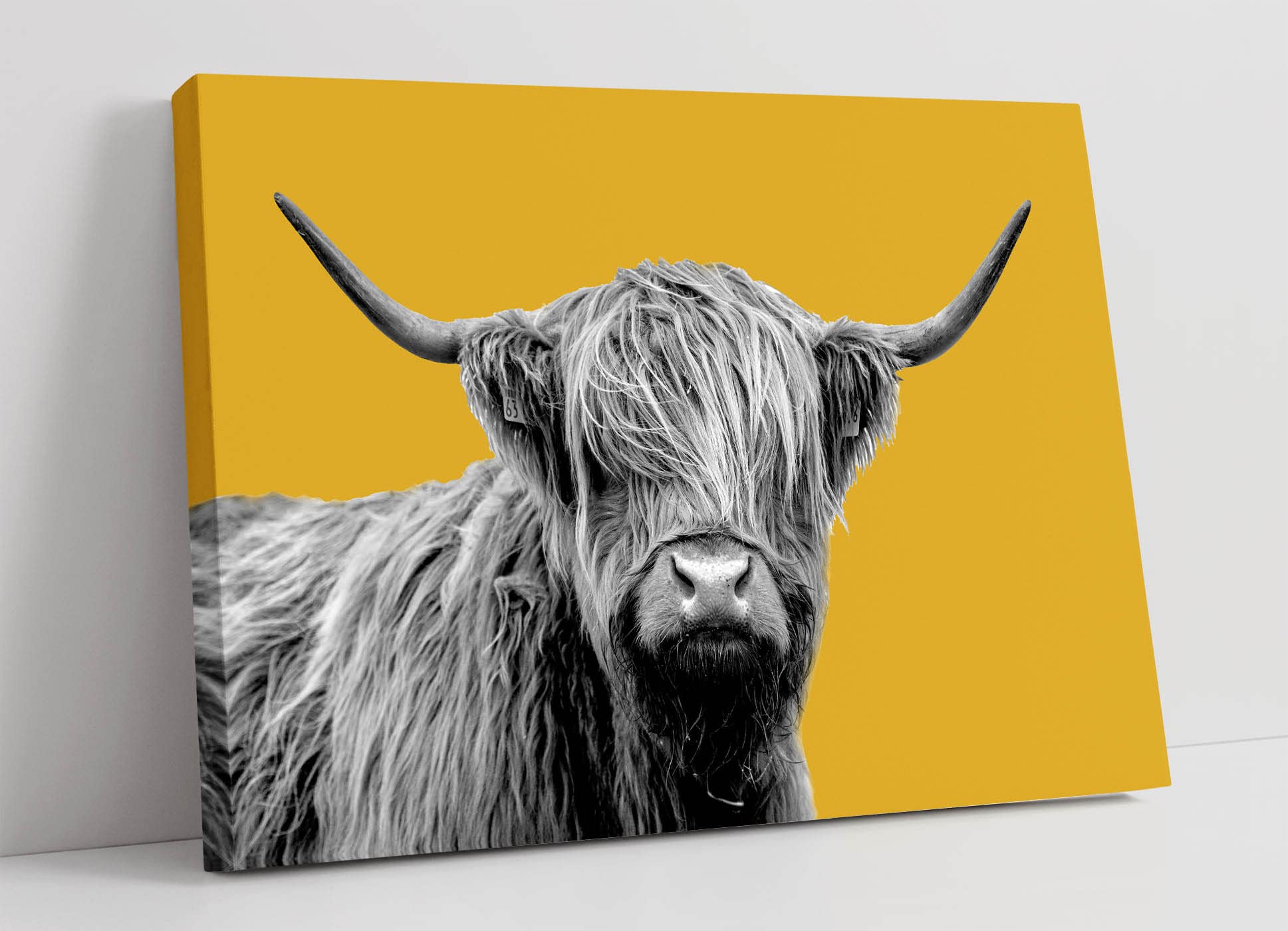 Canvasartshop Mustard Highland Cow Black And White Yellow Canvas Wall Art Print Artwork (36In X 24In / 91Cm X 60Cm)