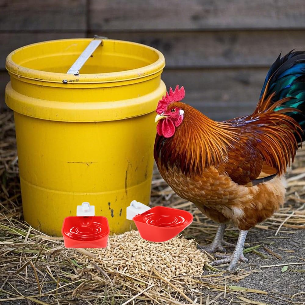 Bebedero Gallinas, 4 Piezas Grandes, Adecuado para Regador para Aves, Palomas, Pollos, Patos(9 x 10,5 cm)