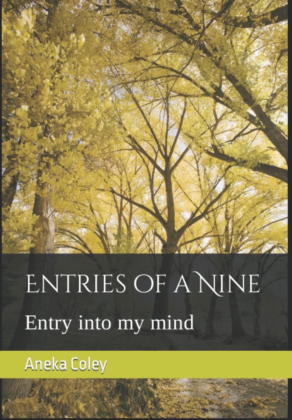 Entries of a Nine: Entry into my mind