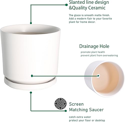 Miniatura 2 de Maceta para plantas de 7.5 pulgadas, macetas de interior de cerámica blanca con agujeros de drenaje y platillo (planta no incrustada)