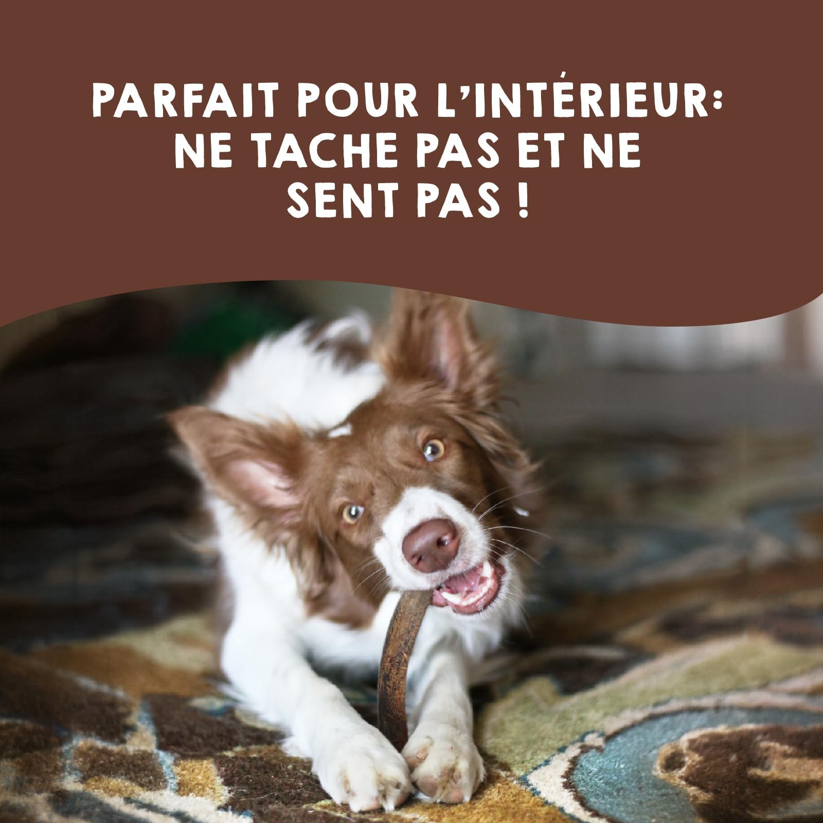 Bois de Cerf pour Chien Taille L Corne Mastication Naturel Longue Durée Jouet a Macher Favorise l´Hygiéne Dentaire et Améliore Cueilli dans la Nature 21-34 kg – Maikai