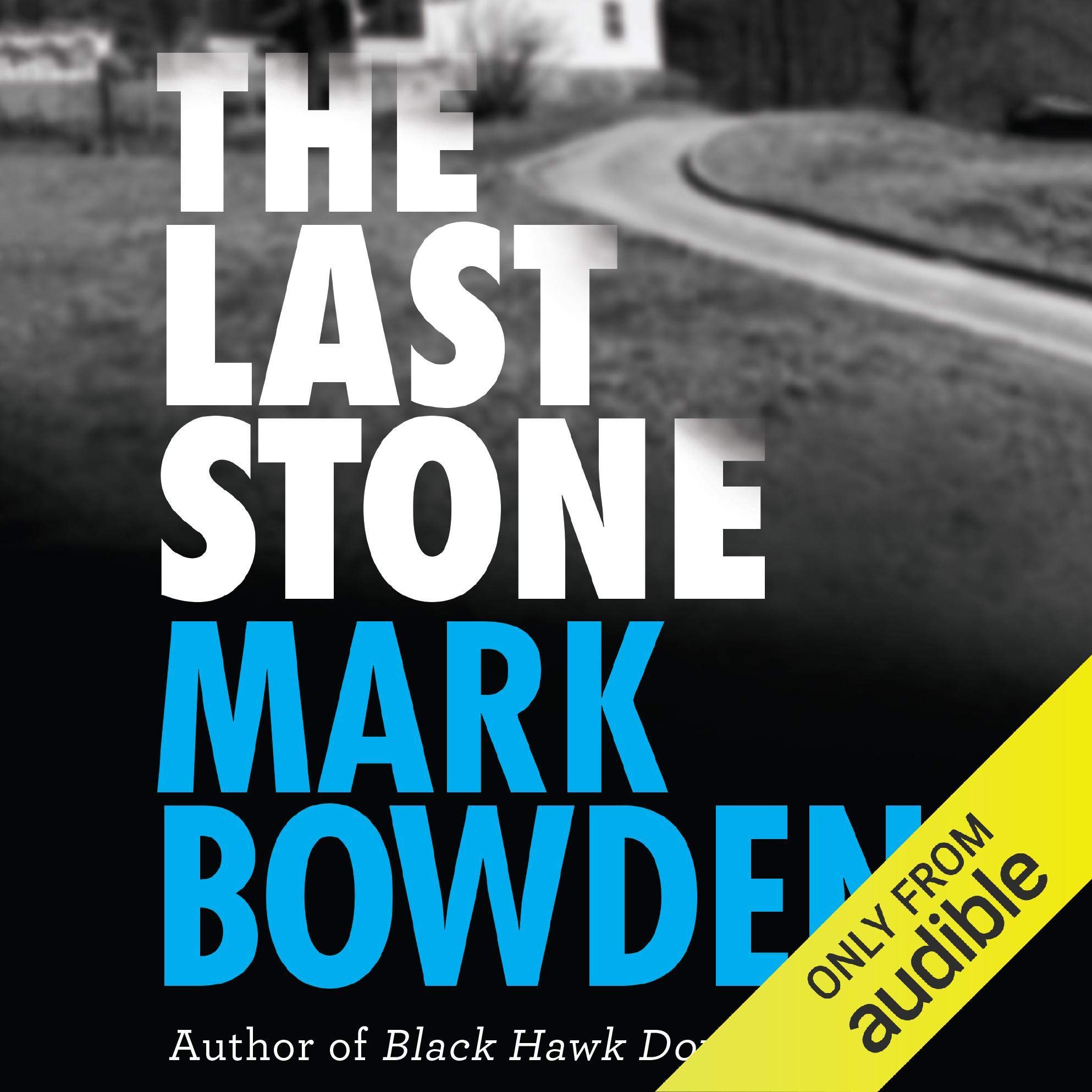 Cover art for The Last Stone