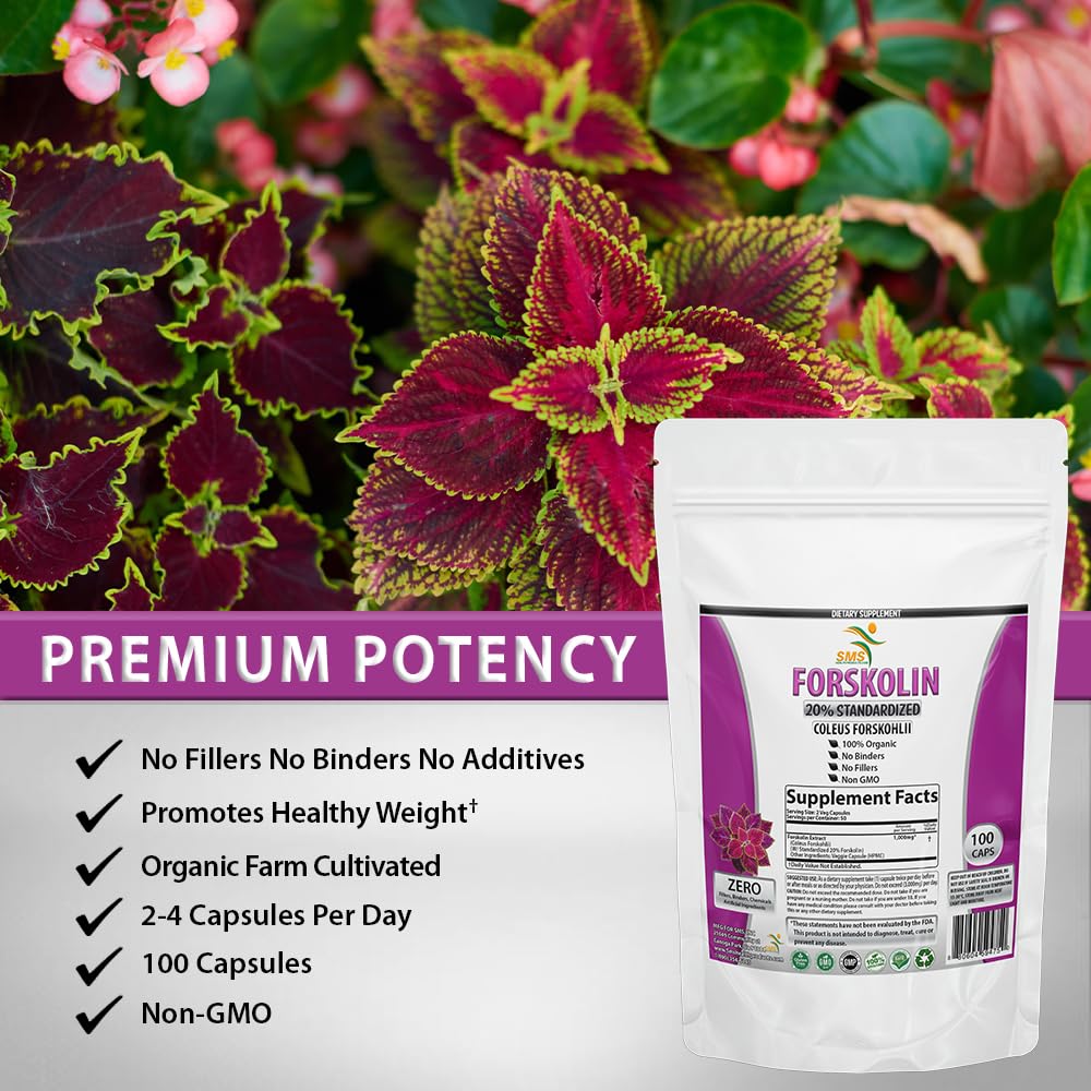 Pure Forskolin Extract Supplement with Potent Coleus Forskohlii 20% Standardized 1,000 mg for Enhanced Energy - Plant-Based Energy Supplements for Women and Men - 100 Veggie Capsules — Amazon image 2