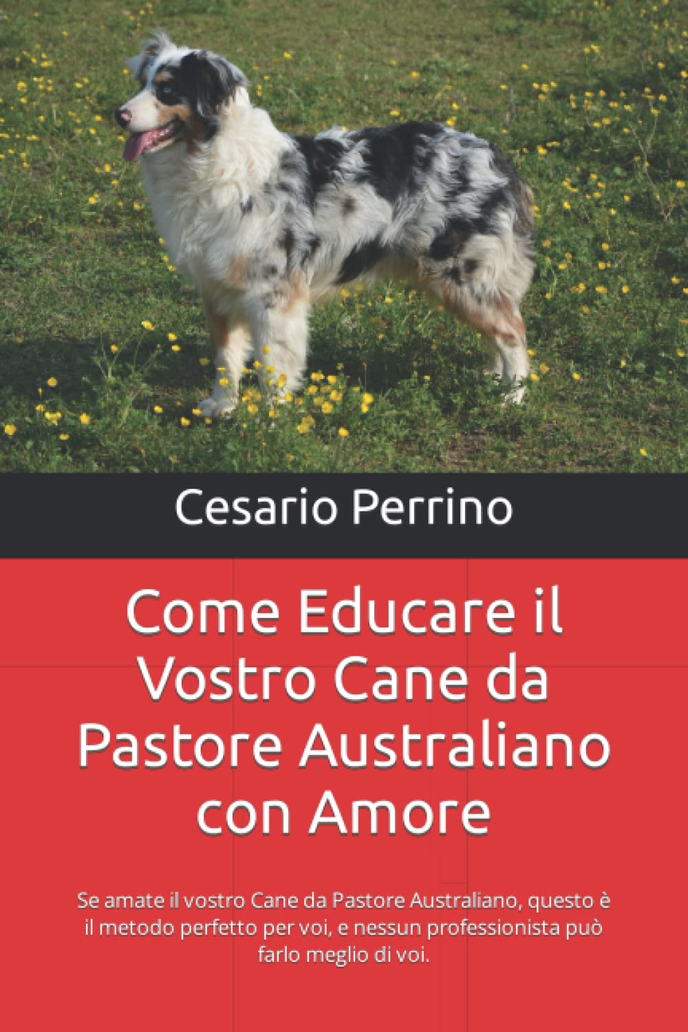 Buy Come Educare il Vostro Cane da Pastore Australiano con Amore Se amate il vostro Cane da