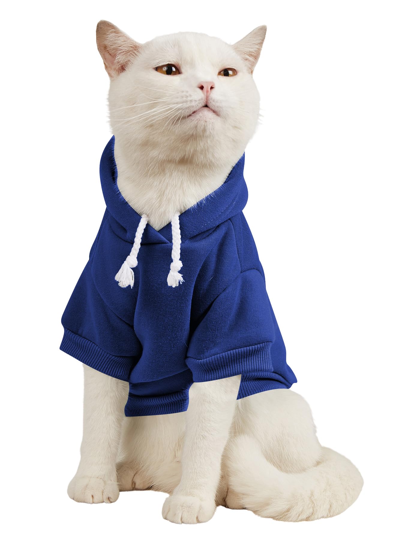 QWINEE Basic Dog Hoodie Sweatshirt Puppy Sweater Warm Cat Costumes Pet Clothes for Chihuahua Puppy Kitten Small Medium Dogs Royal Blue Large