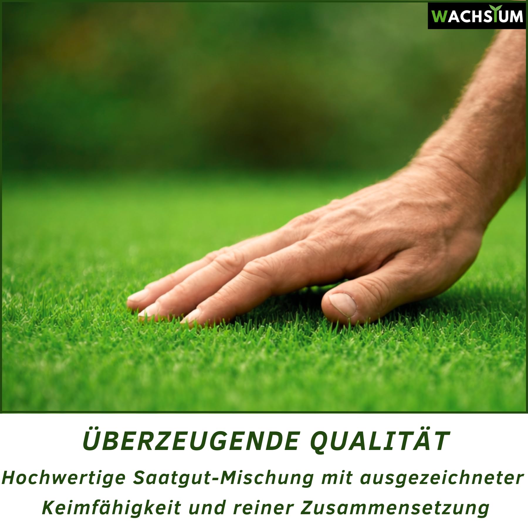 Rasensamen schnellkeimend 1kg 40qm – Frühjahr und Sommer Premium Grassamen Nachsaat, dichter strapazierfähiger Rasen, Mähroboter geeignet – kräftiges Wachstum, RSM Qualität, - 3