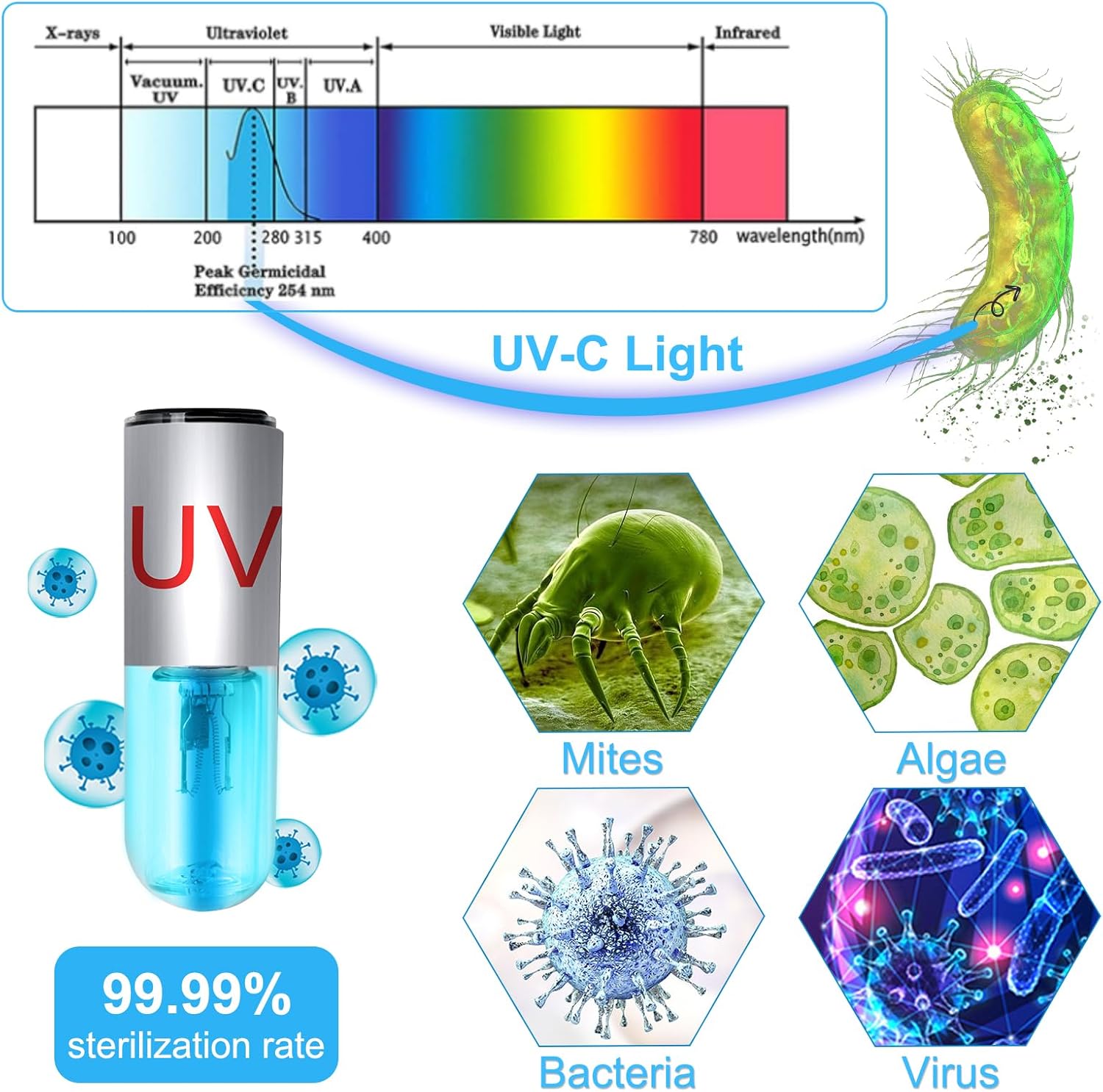 Illuminate and Purify: A Review of the Aquarium Clean Light for Crystal Clear Waters