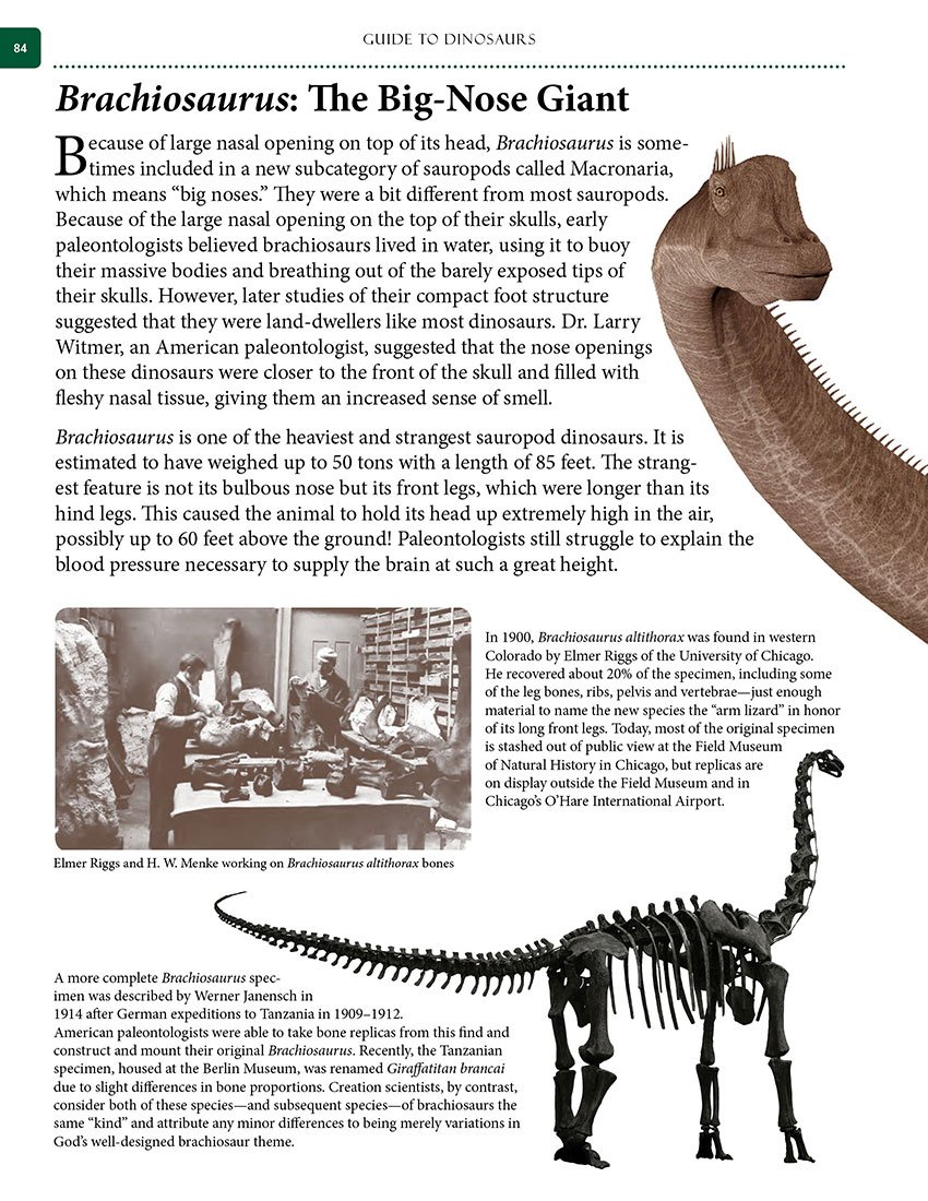 Guide to Dinosaurs - Image 7