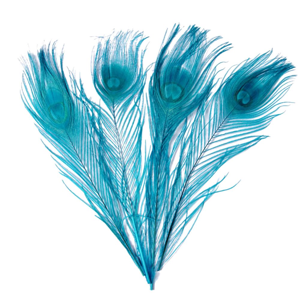 Feathers,Plume,Hgshow 20 Pcs Bleached & Dyeing Peacock Feather 10-12 inches