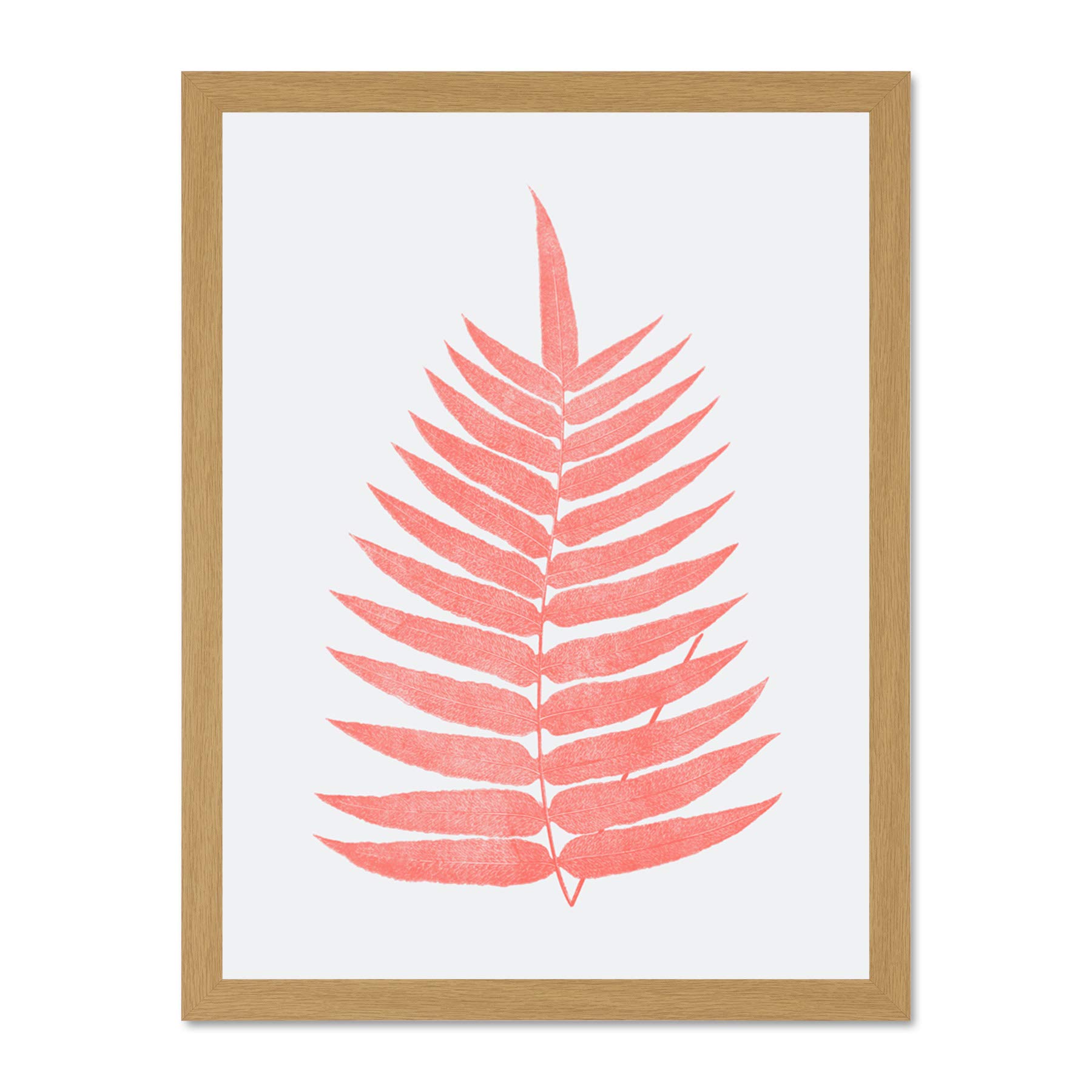 Wee Blue Coo Living Coral Fern Large Light Oak Framed Art Print Wall Poster 18x24 inch