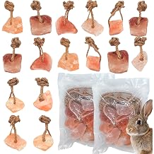 Hamiledyi 8 PCS Rabbit Salt Lick Block Natural Small Animal Himalayan Salt Lick Hanging Chew Toys Rat Mineral Block Chew Treat Supplies for Bunny Guinea Pig Chinchilla Ferret Hamster