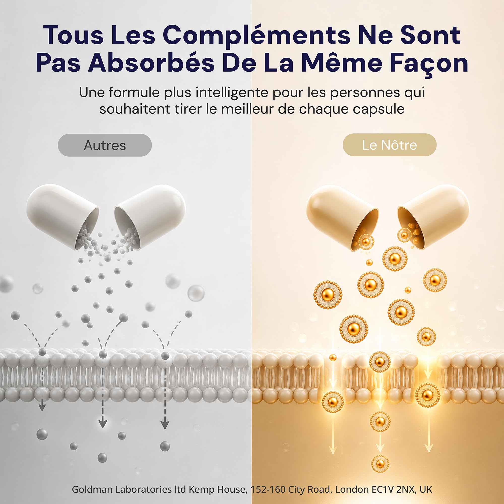 Liposomal Quercetin - Goldman Laboratories - 30 gélules végétales avec vitamine C - Antioxydant - Anti-inflammation - Immunité