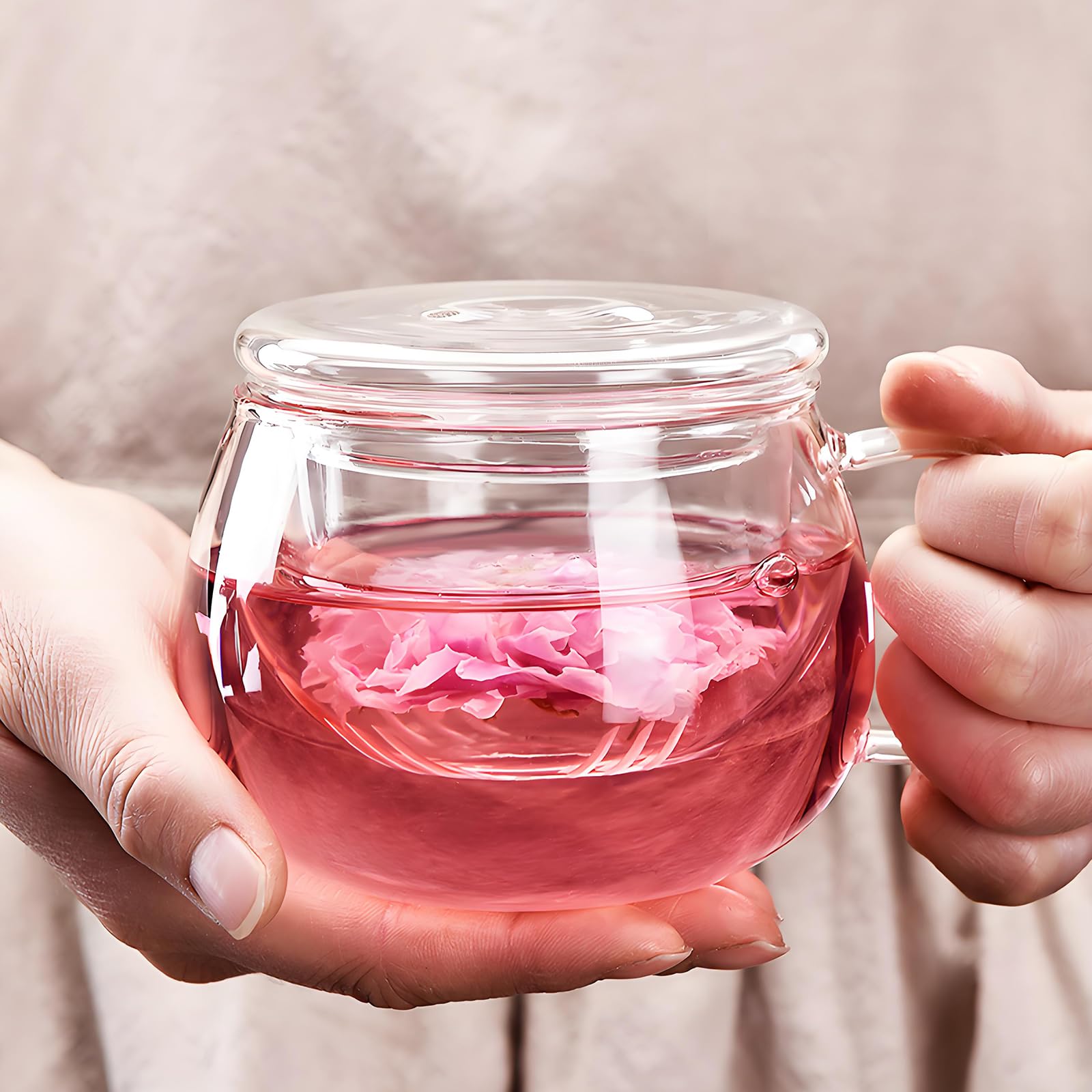Tosnail Lot de 2 tasses à thé en verre de 388,5 g avec couvercle et infuseur à thé, tasses à thé transparentes avec filtre à thé, tasses en verre pour infusion de thé en vrac