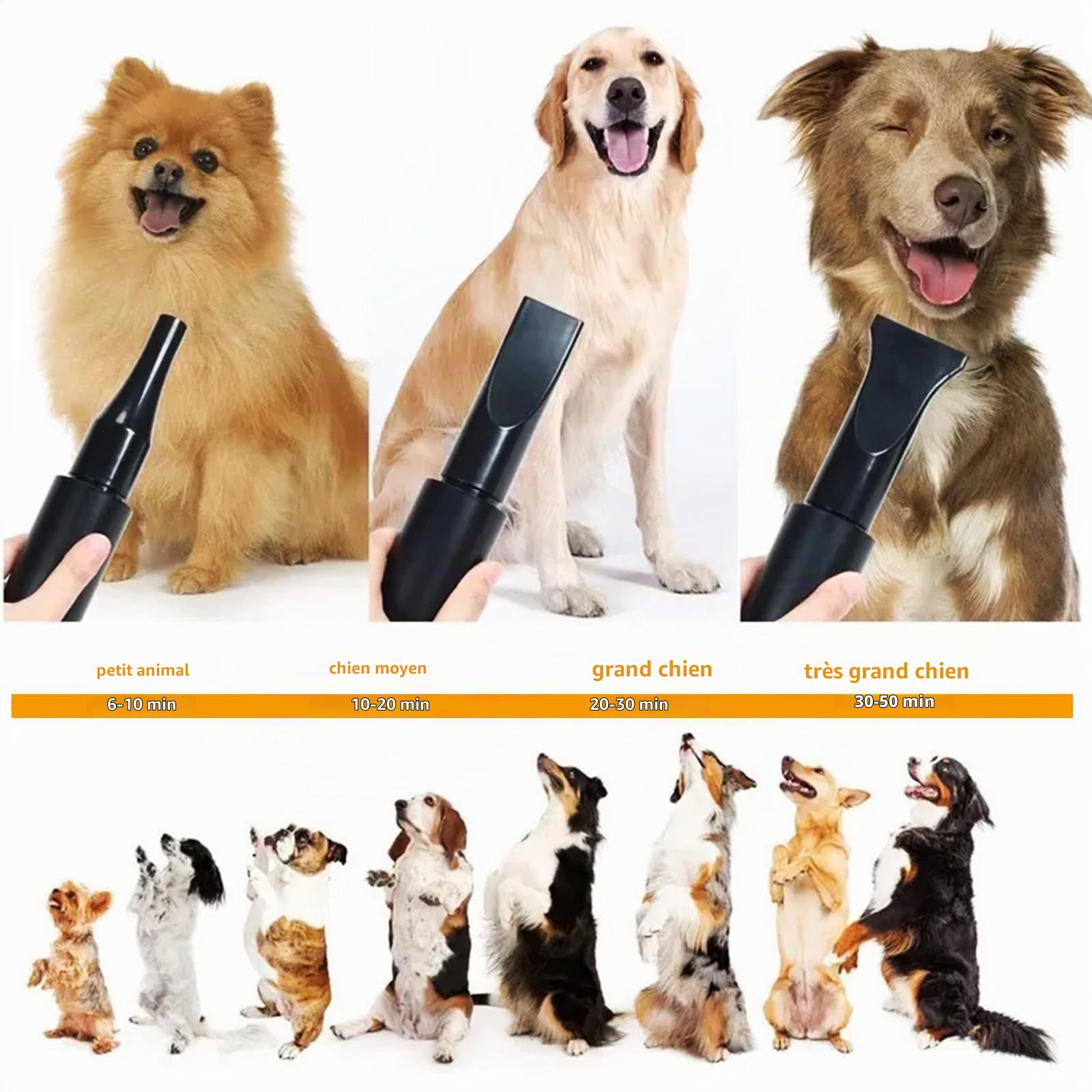 Pulseur pour Chien 2800W - Séchoir Professionnel pour Animaux avec Température Réglable et 4 Buses (Jaune)