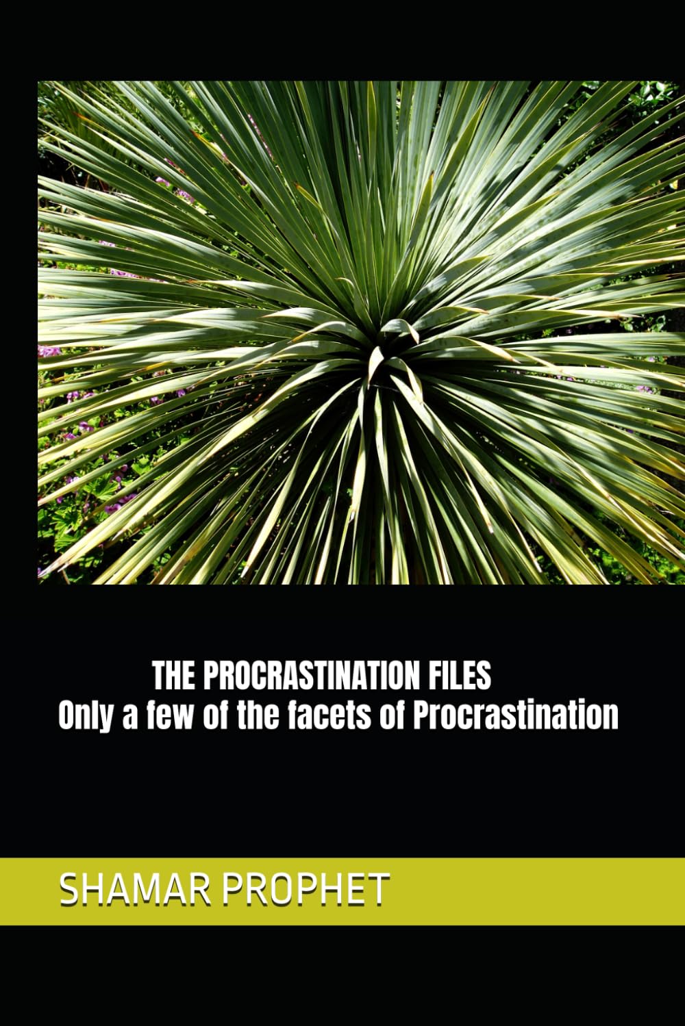 THE PROCRASTINATION FILES: Only a few of the many facets of Procrastination
