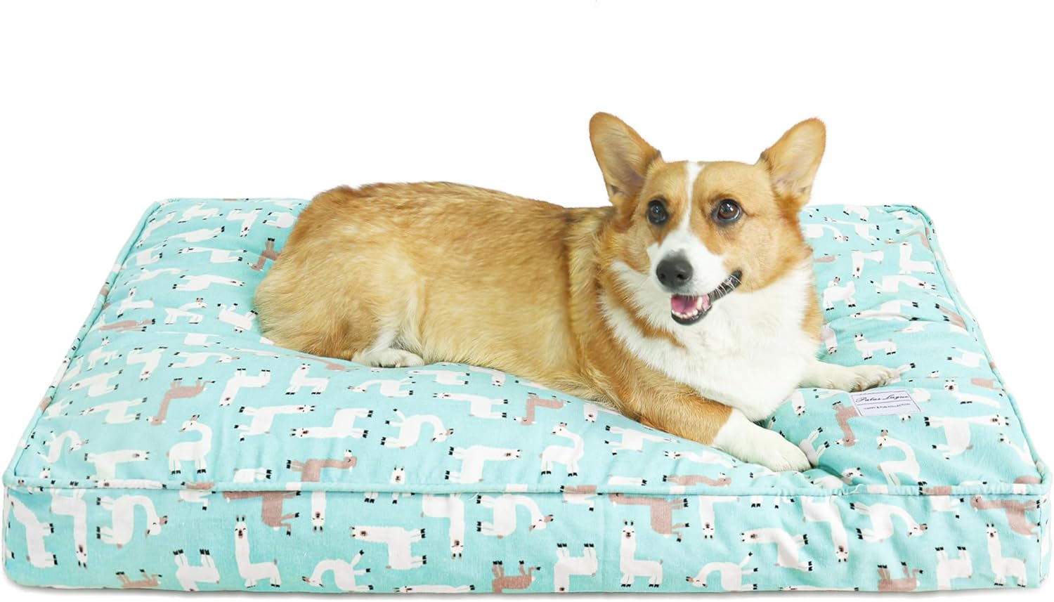 Patas Lague Orthopedic Dog Bed for Medium Dogs, Shredded Memory Foam Supportive Therapy Fillings Pet Bed, Soft Warm Washable Cat Cuddler Bed, Alpaca 30''x20''