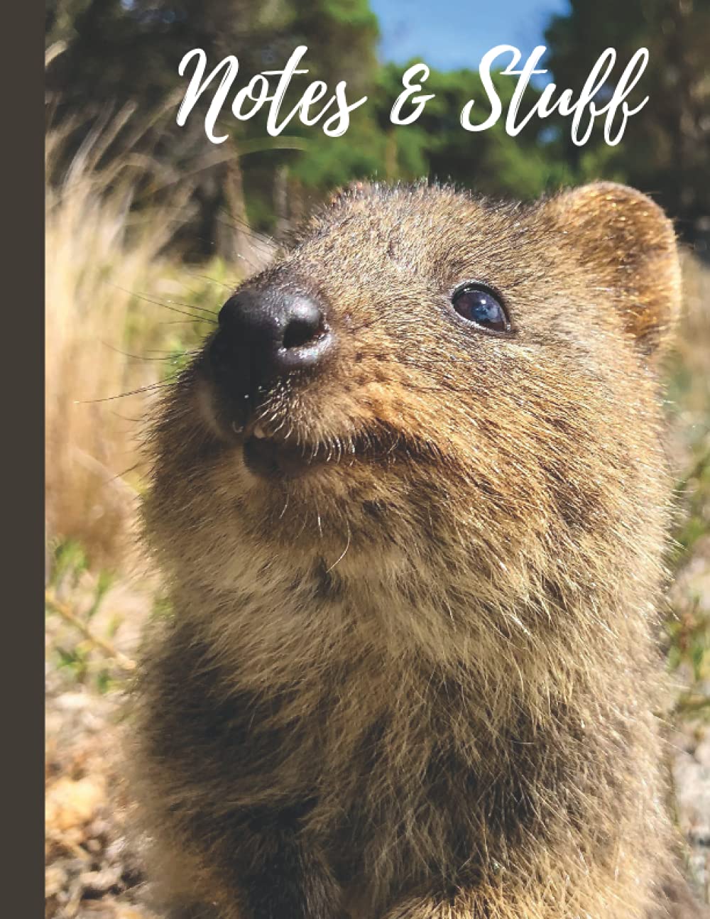 Quokka Composition Notebook: Cute Australian wildlife journal with college ruled lined paper. Perfect for students, teens, school, home and college.