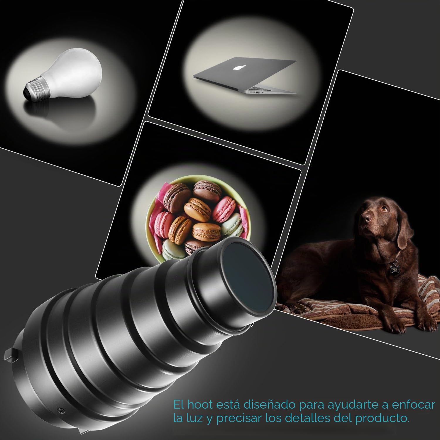 NEEWER - Kit de snoot cónico de aleación de Aluminio Mediano, con Rejilla de Nido de Abeja y 5 Piezas filtros de Gel de Color para Estudio Strobe Monolight Fotografía Flash en Bowens Montura (22 cm)