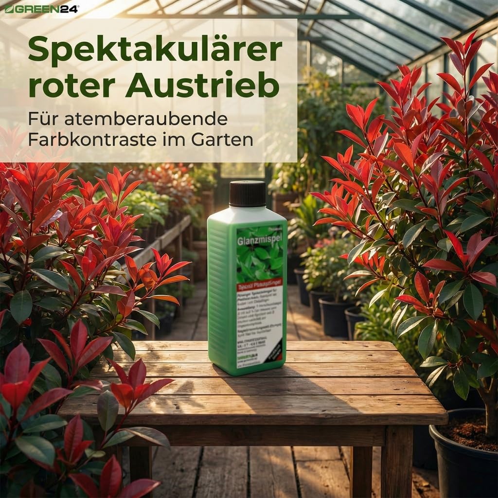 Photinia-Dünger XL 1 Liter Pflanzen Dünger für Glanzmispel Lorbeermispel Photinien
