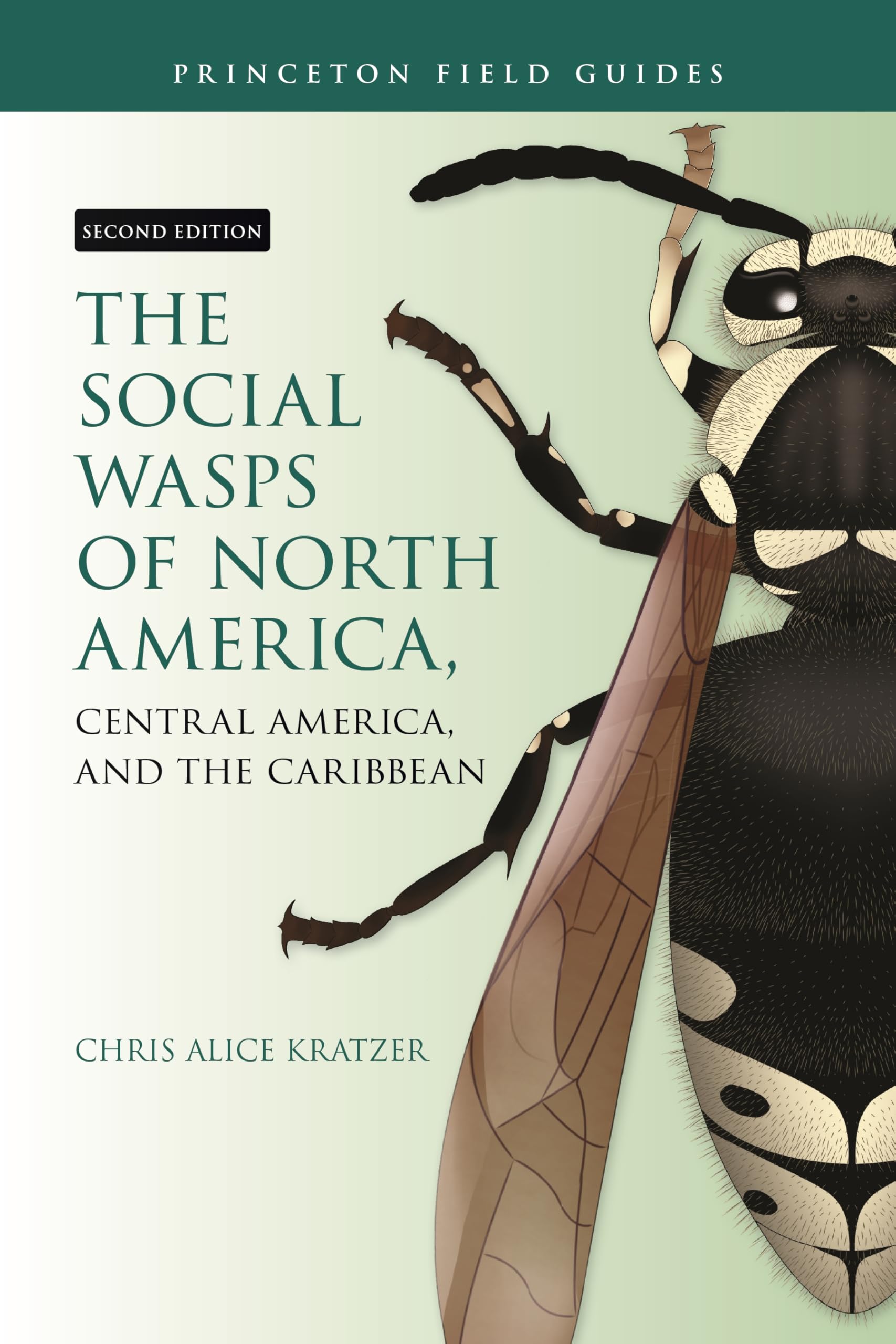 The Social Wasps of North America, Central America, and the Caribbean, Second Edition (Princeton Field Guides)