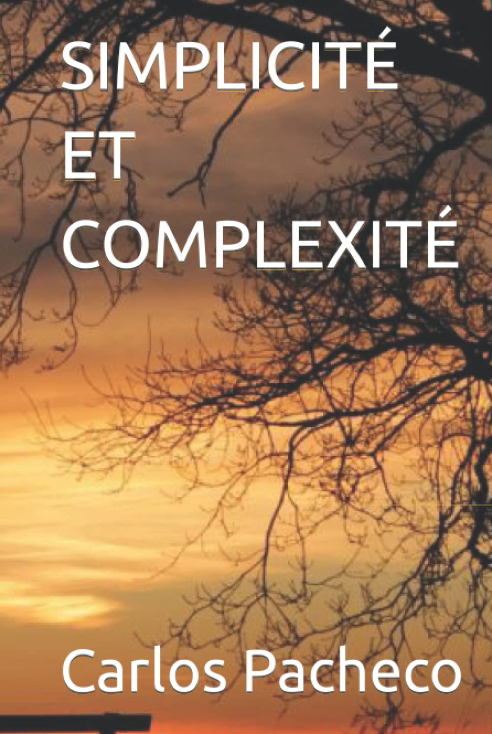 SIMPLICITÉ ET COMPLEXITÉ (French Edition)
