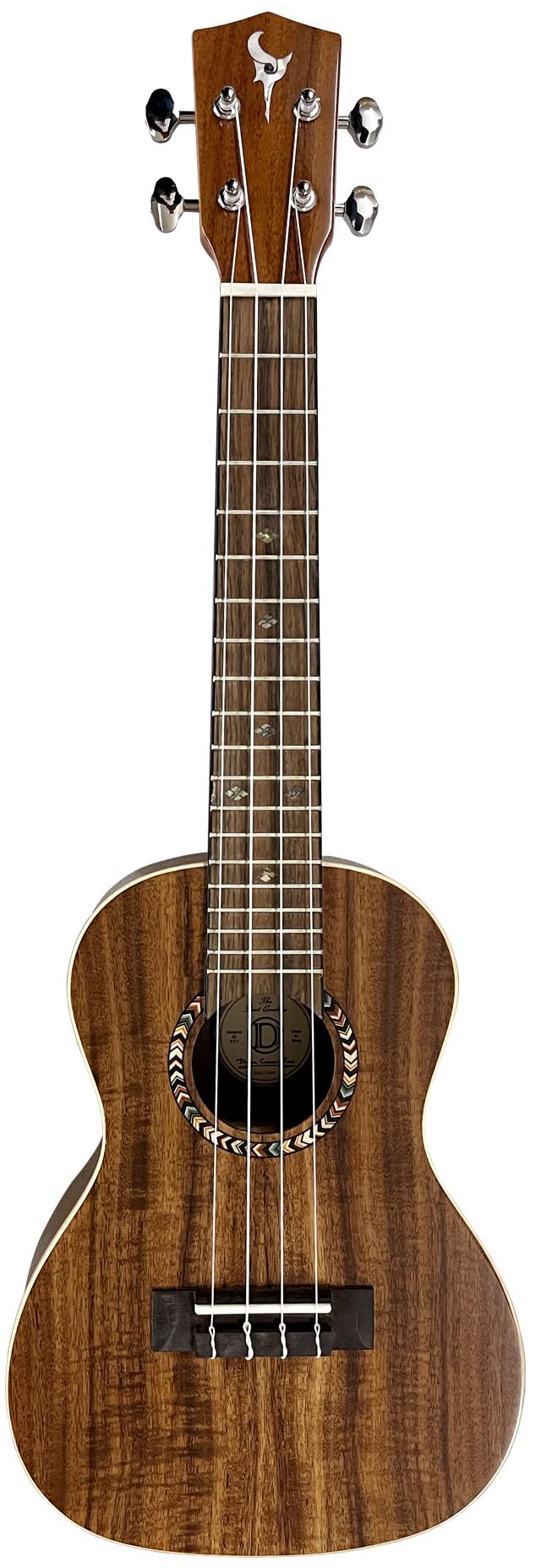 DCT DR-742E エレクトリックアコースティックギター DCT DR-742E エレクトリックアコースティックギター(FISHMAN