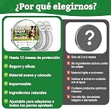 Ver la foto 4