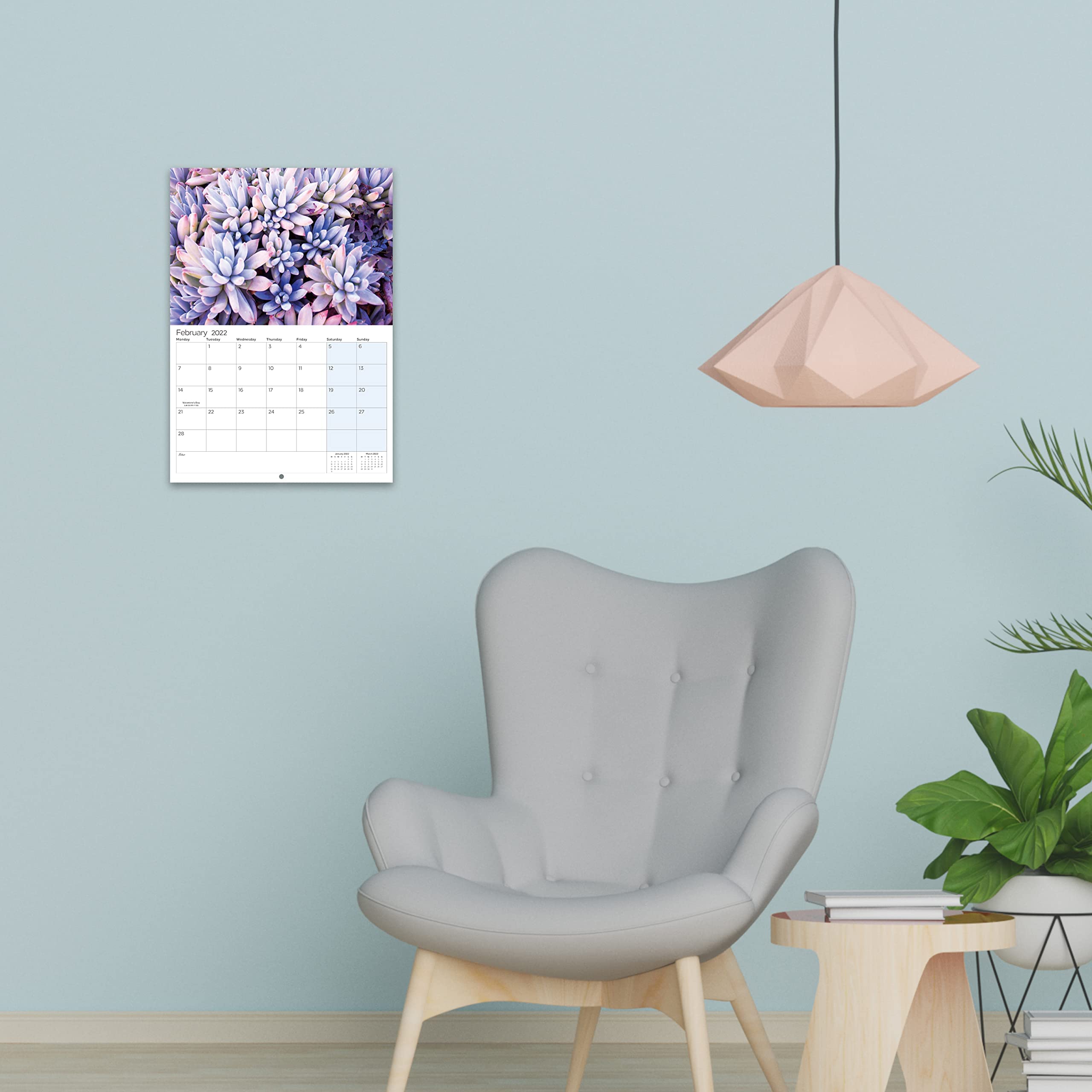 Buy Amazon Brand Eono 2022 Calendar Wall Planner, Month to View 2022