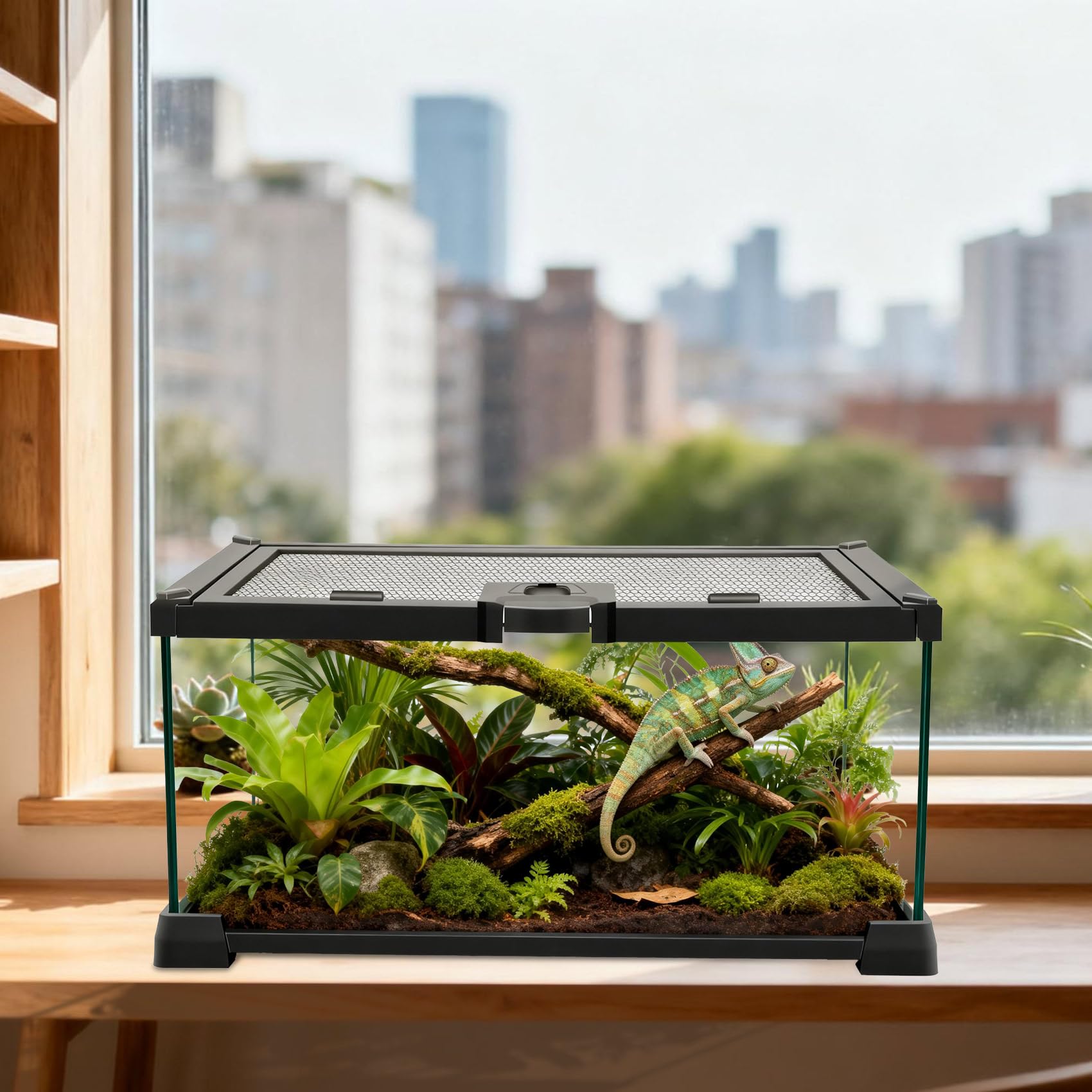 Mini serbatoio di vetro per rettili, 30,5 x 20,3 x 15,2 cm, coperchio in rete con apertura superiore con fermo, vista chiara a 360°, recinzione ventilata per ragni saltatori, tarantole, isopodi e rane