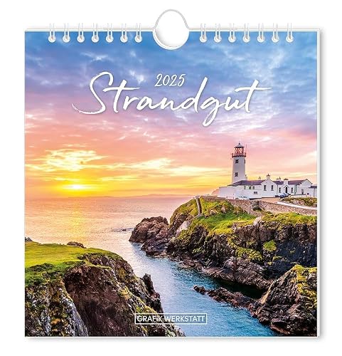 Postkartenkalender 2025 Strandgut: Postkartenkalender