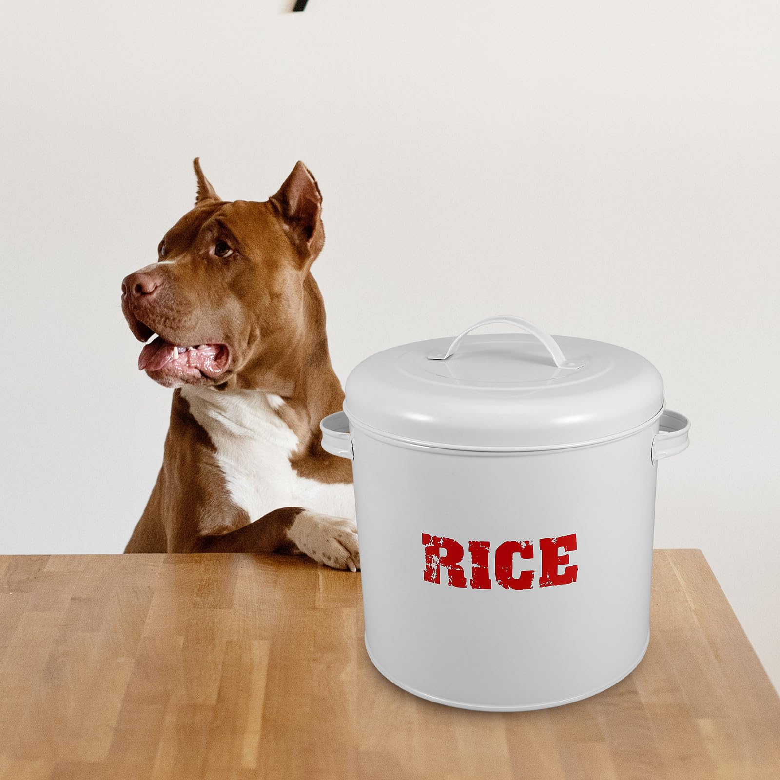 iplusmile Contenitore Cibo Cani Sigillato Grande Capacità in Ferro Zincato
