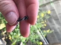 Review Image by Boundbywildthings