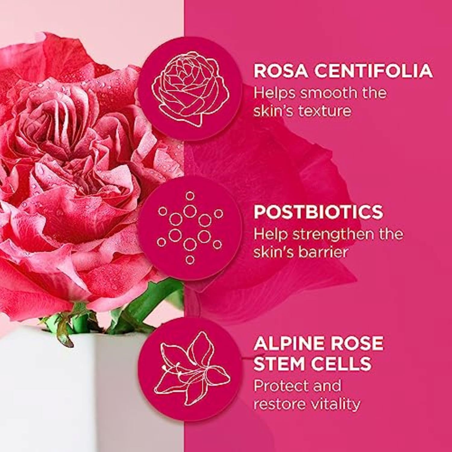 Andalou Naturals 1000 ROSES® Fortifying Night Cream - Image 4
