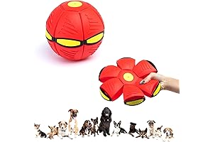 Interactive Flying Saucer Ball: A Dog's Dream for Fun and Energy Release